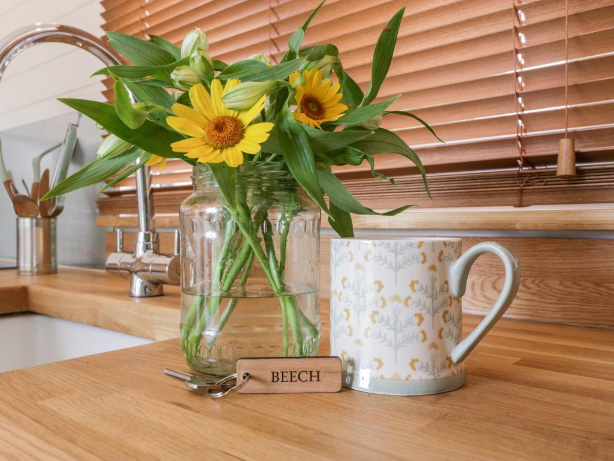 Beech Holiday home Kemble